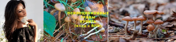 прущий лед Кулебаки