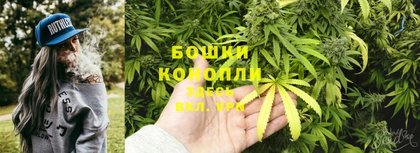 Альфа ПВП Кукмор