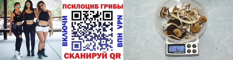 hydra сайт  Кемерово  Галлюциногенные грибы прущие грибы 
