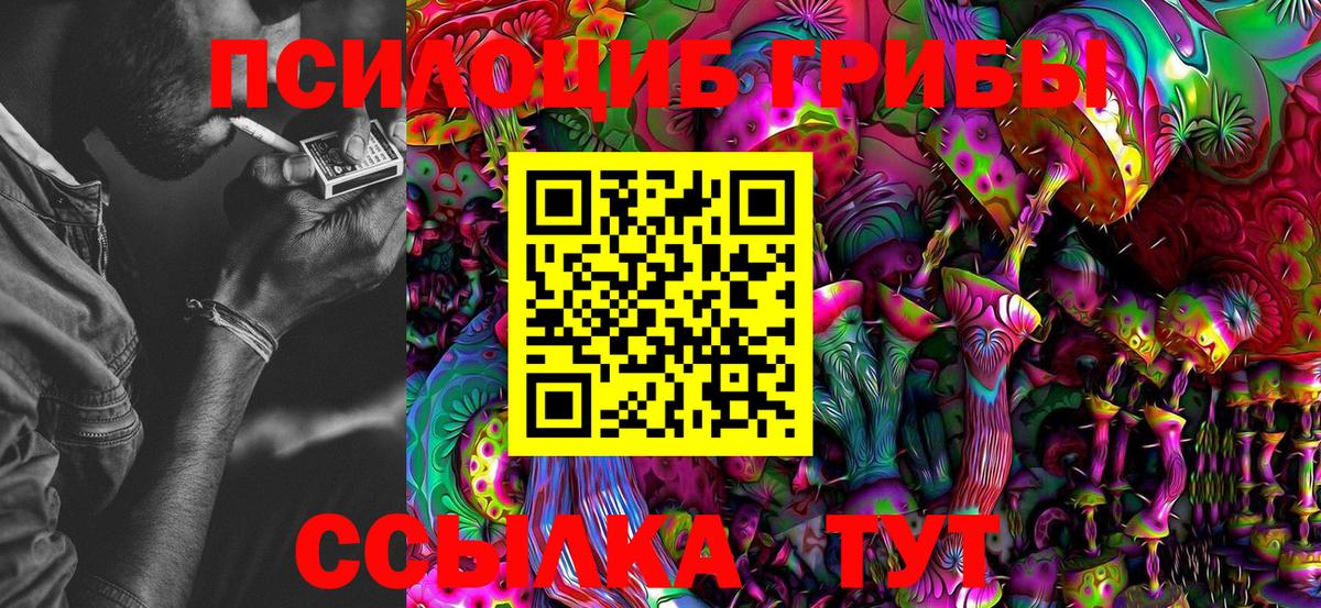 Кемерово  Галлюциногенные грибы MAGIC MUSHROOMS  дарнет шоп  Галлюциногенные грибы прущие грибы  Вход с VPN 