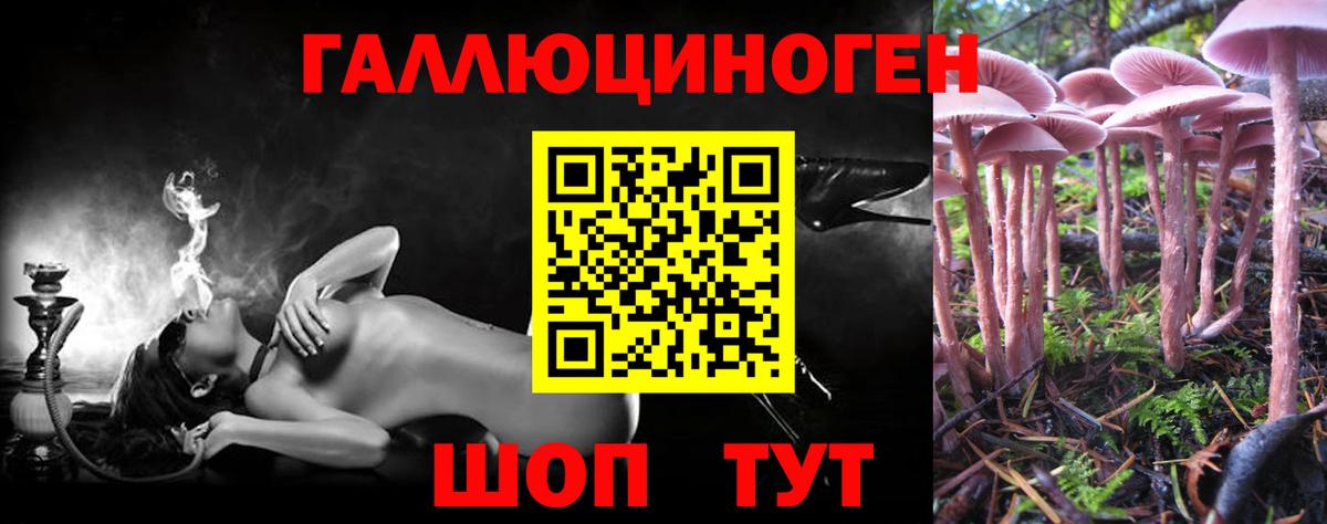 Псилоцибиновые грибы GOLDEN TEACHER Кемерово